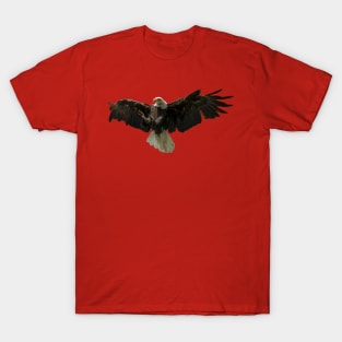 Majestic Bald Eagle T-Shirt